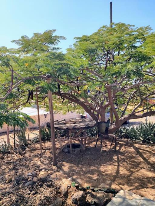 Casa Aloe Vera - Private House W/ Free Breakfast Cidade Velha Exterior photo